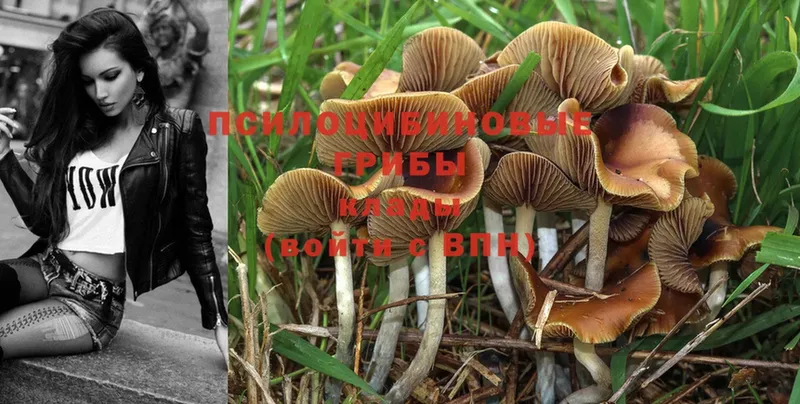 Галлюциногенные грибы MAGIC MUSHROOMS  Краснокамск 